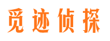 滨江市私家侦探